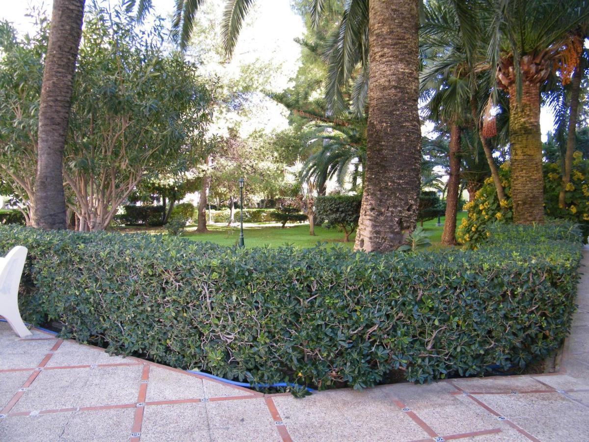 Apartamento Parque Ii, Mnostrum Playa De Gandia Exclusivo Familias Exterior foto